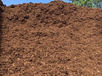 Hemlock Mulch